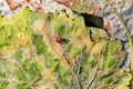 A dangerous disease of grape Mildew Ã¢â¬â downy mildew lat. Of plasmopara viticola